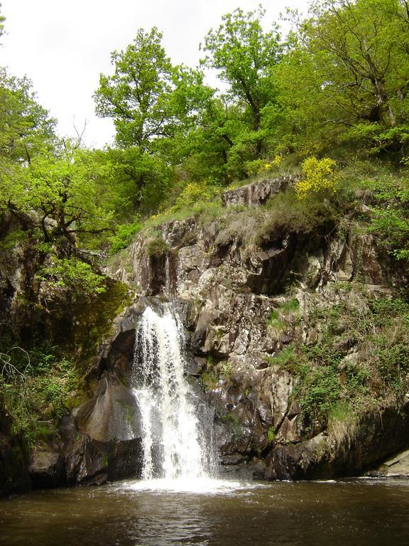 Saint-Priest-des-Champs Aux 2 Puys - Gite "Le Lemptegy" מראה חיצוני תמונה